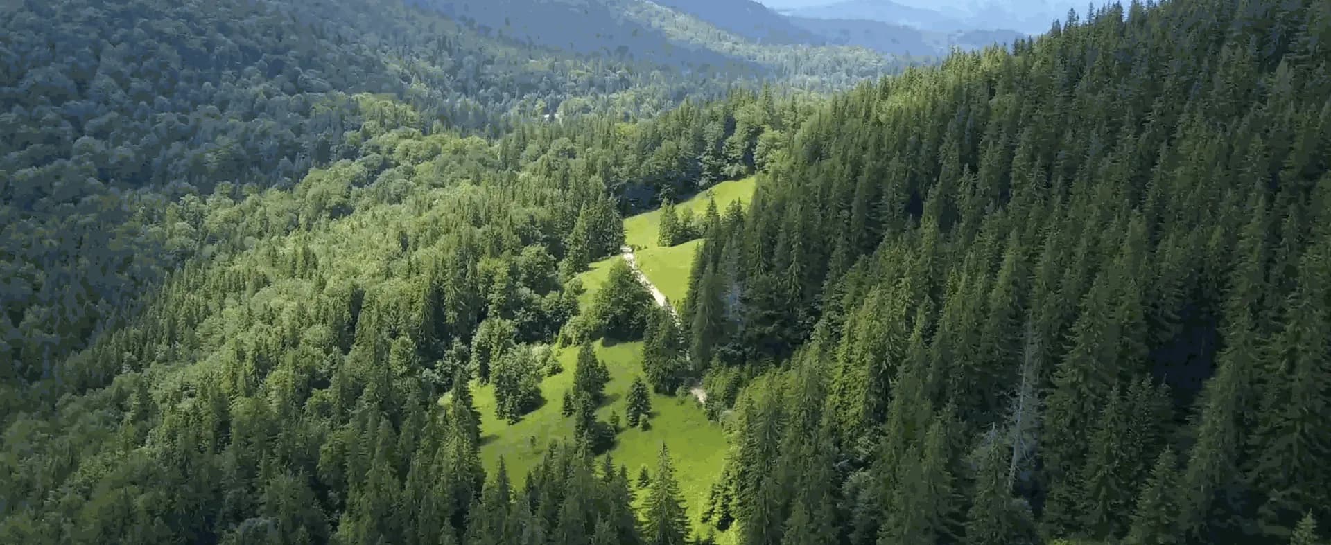 Handhållen FJD Trion-scanner i skog, använd av Forest Design i Rumänien